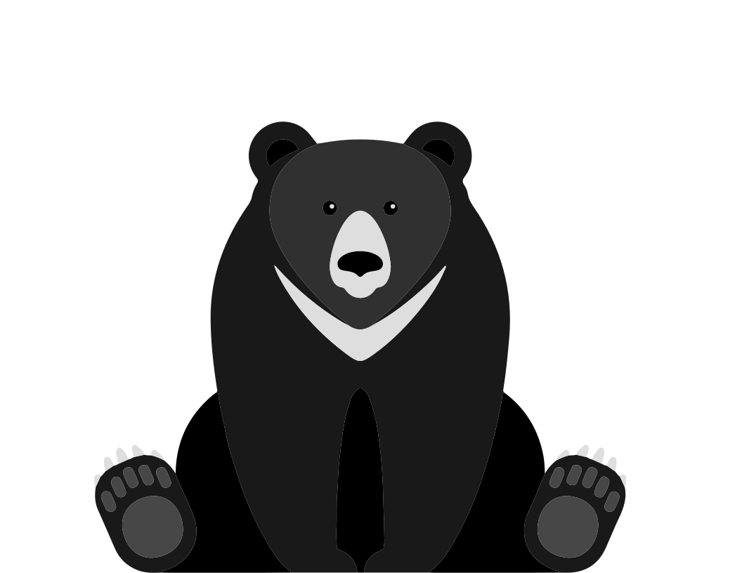 Black bear sighted near Owl Stadium – The Equinox