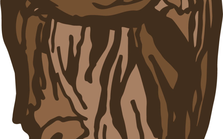 Sean Crater / Webmaster