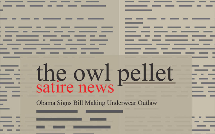 Philip Bergeron / Graphic Design Editor 