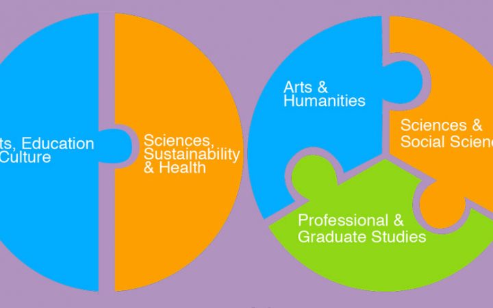 Laura Romaniello / Art Director